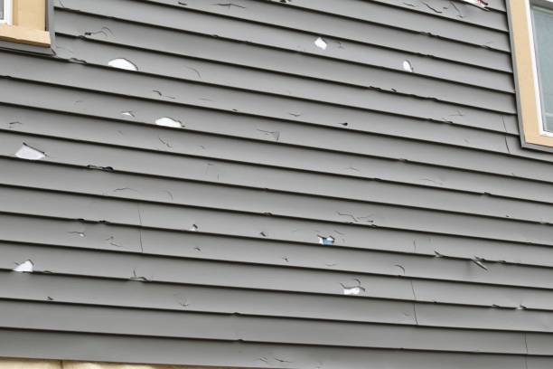 Best Custom Siding Design  in Houserville, PA